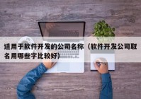 适用于软件开发的公司名称（软件开发公司取名用哪些字比较好）