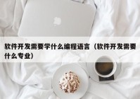 软件开发需要学什么编程语言（软件开发需要什么专业）